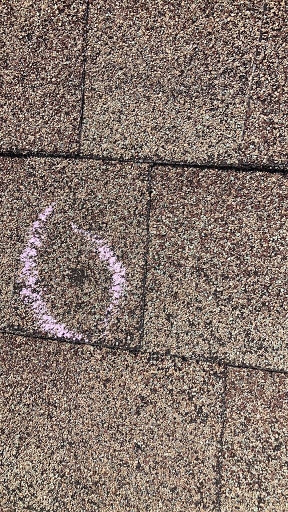 Single hail impact on an asphalt shingle circled in chalk, granules crushed away at the centre