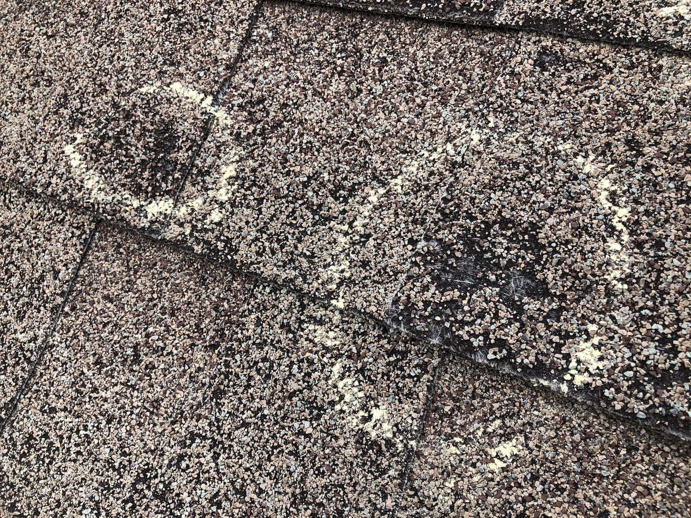 Close-up of chalk-marked hail strikes with granules crushed away and fiberglass mat exposed