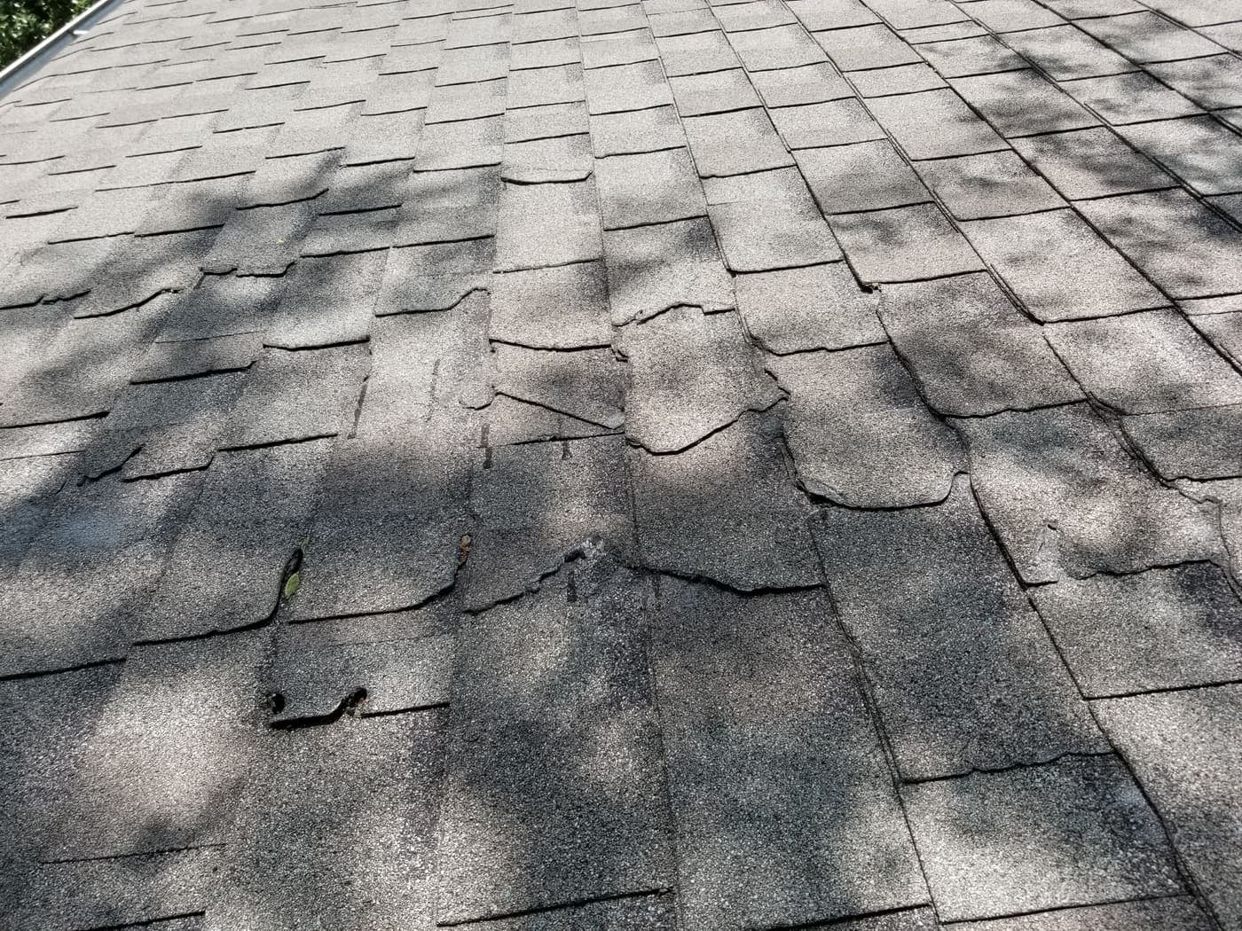 Aging asphalt shingle roof with widespread granule loss and deteriorating shingle edges
