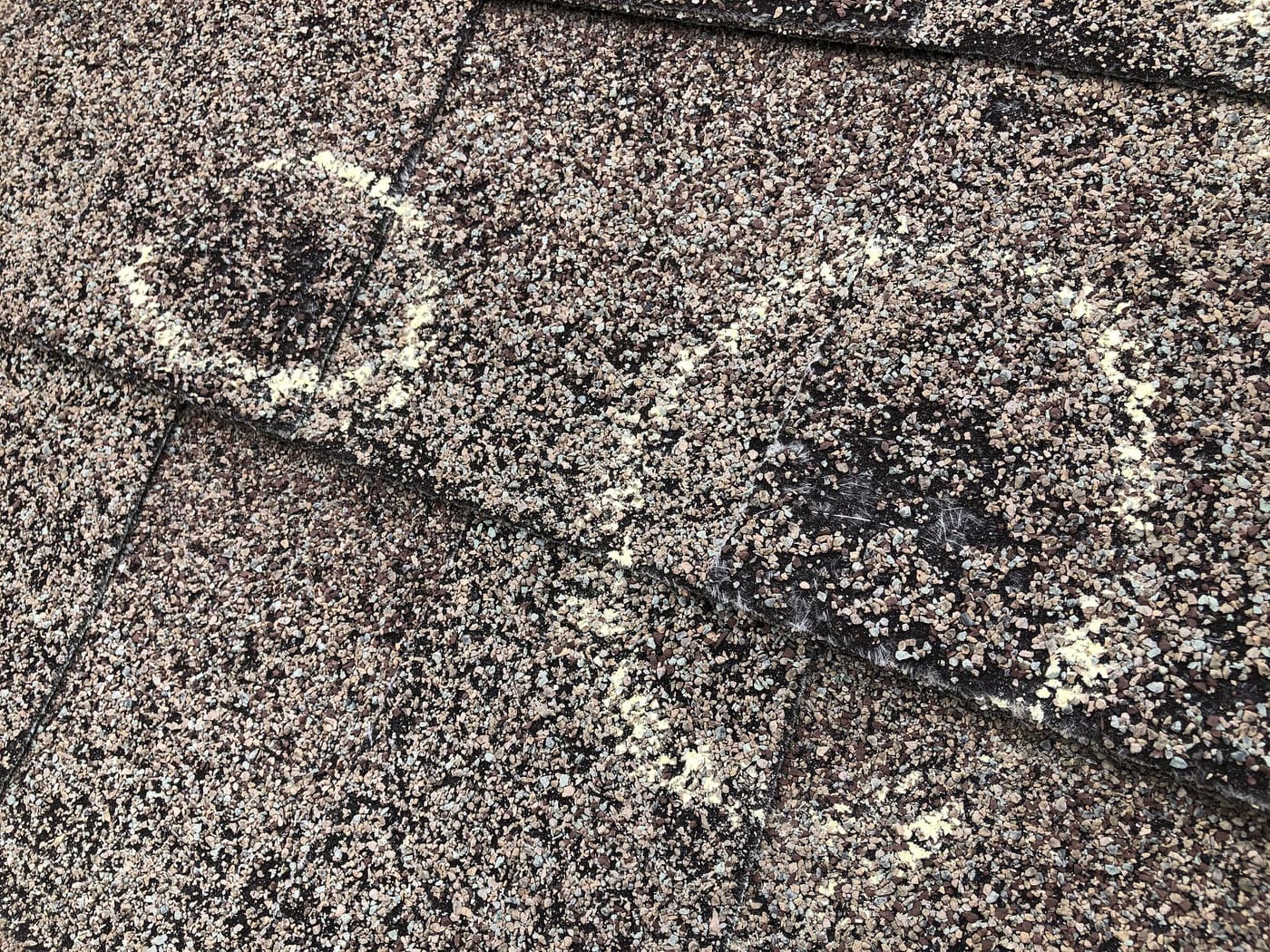 Close-up of chalk-marked hail strikes with granules crushed away and fiberglass mat exposed